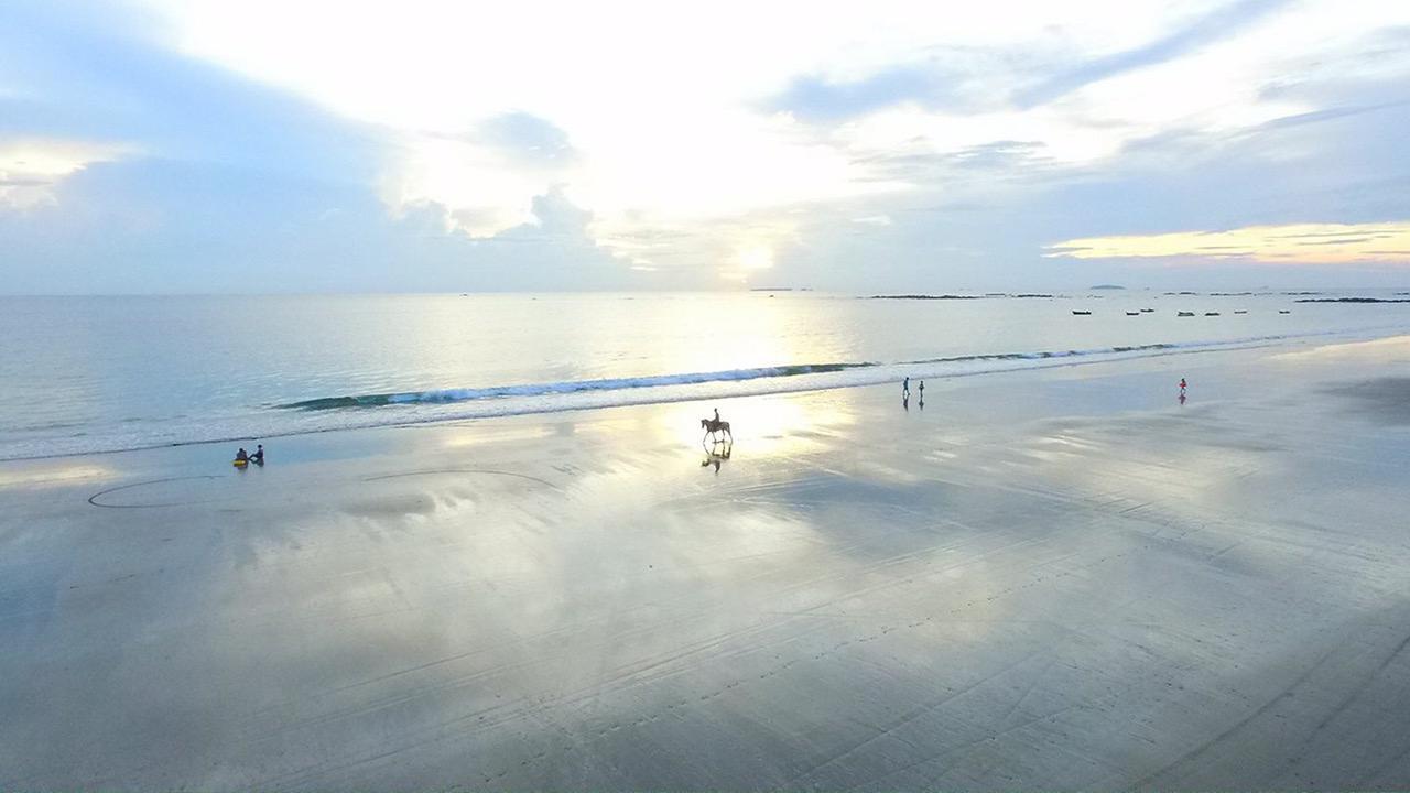 维桑海滩蕨宫酒店及度假村 外观 照片